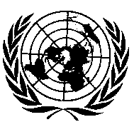 UN Logo